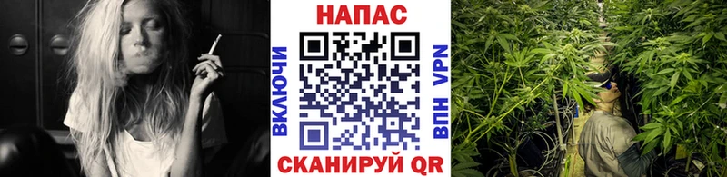 Купить наркотики цена Западная Двина MDMA  АМФ  ГАШ  Бошки Шишки  МЕФ  А ПВП  Кокаин 